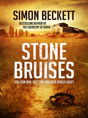 cover image of Stone Bruises